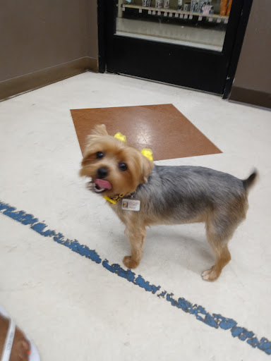 Pet Supply Store «PetSmart», reviews and photos, 288 12th Ave, Hanford, CA 93230, USA