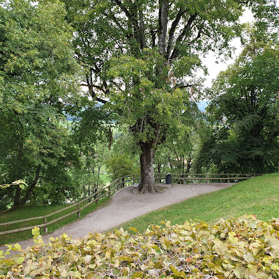 Forêt de Farschviller à Farschviller