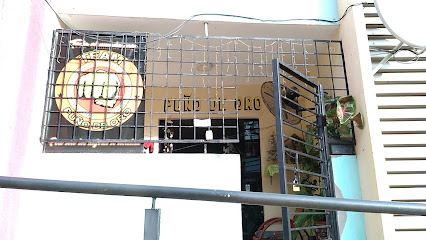 Gym Puño de Oro - Calle 2 entre 3 y 6 06, 13 , 23 y, Federico Riera, Asunción, Paraguay