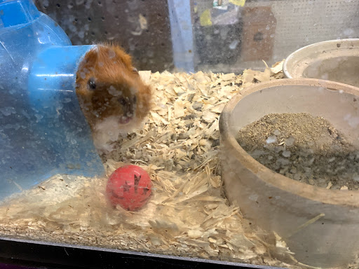 Ken's Aquarium & Pet Supply