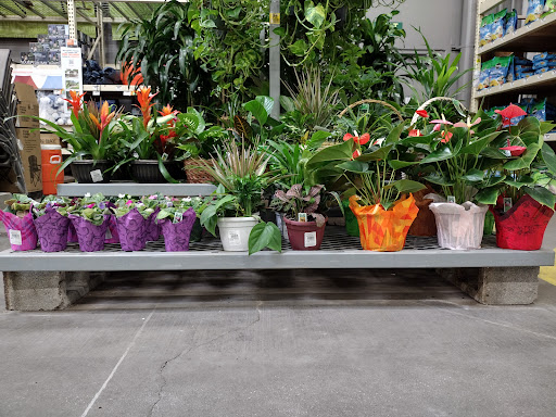 Home Improvement Store «The Home Depot», reviews and photos, 601 Woollomes Ave, Delano, CA 93215, USA