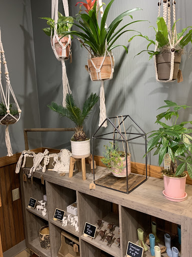 Florist «Bangor Floral», reviews and photos, 96 Center St, Bangor, ME 04401, USA