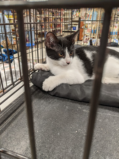 Pet Supply Store «PetSmart», reviews and photos, 4516 U.S. 9, Howell, NJ 07731, USA
