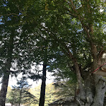 Photo n°1 de l'avis de Max.r fait le 07/10/2018 à 12:33 sur le  Ristorante L'Incontro à Grotteria