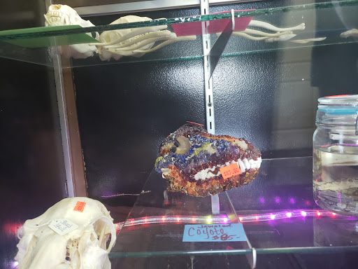 Boutique «Spoox : A Spooky Bootique», reviews and photos, 3453 State St, Salt Lake City, UT 84115, USA