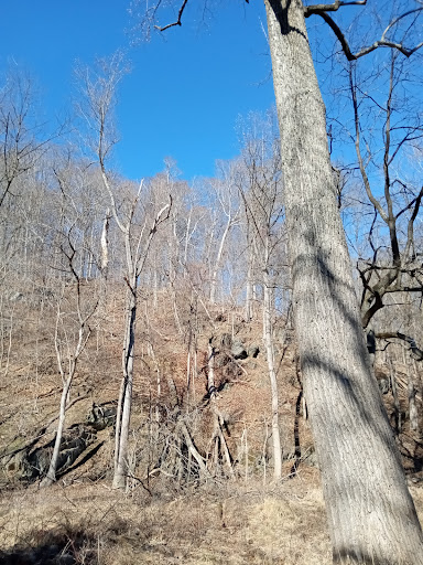 Park «Leakin Park», reviews and photos, 4921 Windsor Mill Rd, Gwynn Oak, MD 21207, USA