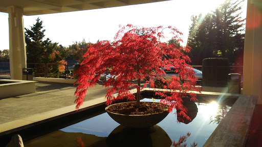 Memorial Park «Sunset Hills Memorial Park», reviews and photos, 6801 SW Sunset Hwy, Portland, OR 97225, USA