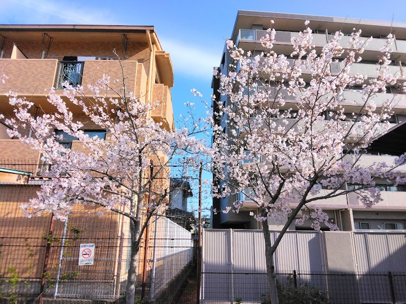 桑原公園