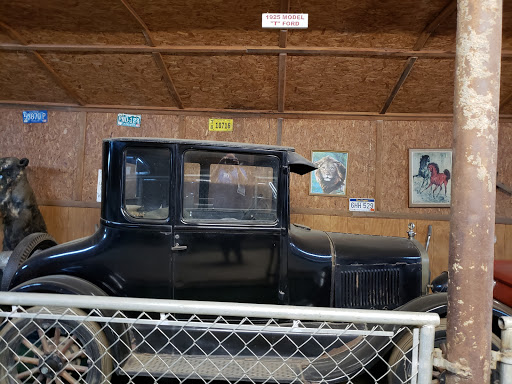 Zoo «Waccatee Zoological Farm», reviews and photos, 8500 Enterprise Rd, Myrtle Beach, SC 29588, USA