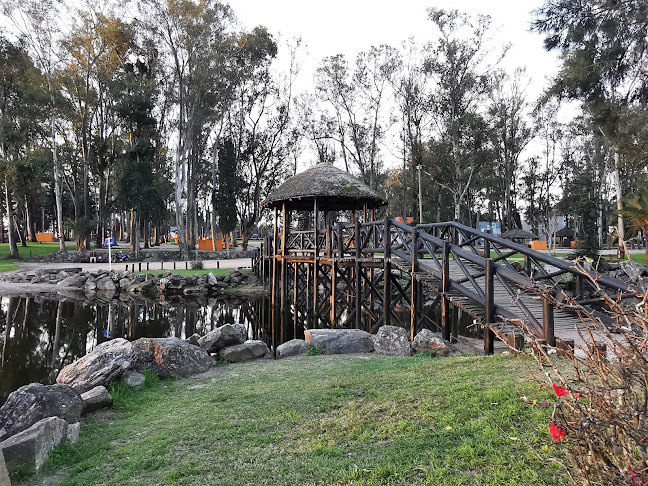 Parque Centenario - Tienda de deporte