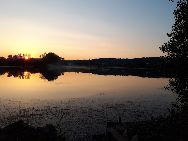 Zelená Voda 2234/7, 915 01 Nové Mesto nad Váhom-Zelená Voda