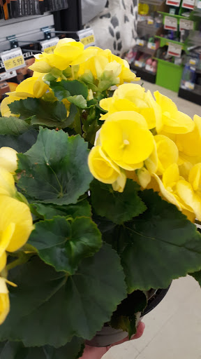 Hardware Store «Westlake Ace Hardware 026», reviews and photos, 5001 SW 29th St, Topeka, KS 66614, USA