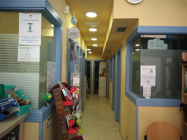 Clínica Veterinaria Besaya