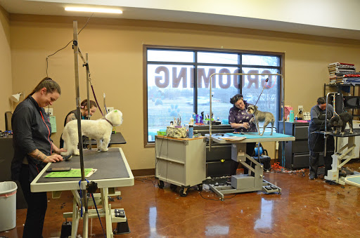 Pet Boarding Service «Pet Palace», reviews and photos, 2803 Trough Springs Rd, Clarksville, TN 37043, USA