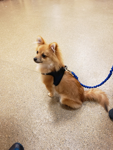 Pet Supply Store «PetSmart», reviews and photos, 2901 Texas Sage Trail, Fort Worth, TX 76177, USA