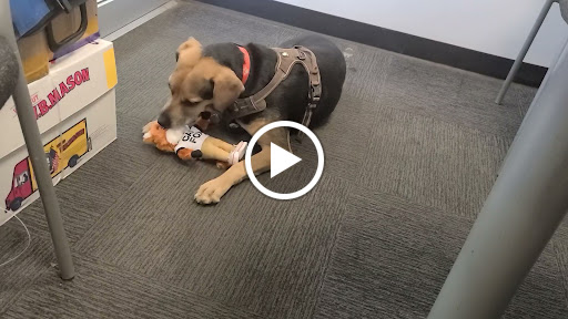 Subaru Dealer «Mitchell Subaru», reviews and photos, 71 Albany Turnpike, Canton, CT 06019, USA