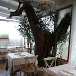 Photo n°11 de l'avis de Lourdes.a fait le 16/07/2019 à 22:31 sur le  Ristorantino Da Ciccio à Castellana Grotte