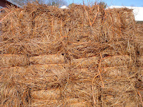 Crawford Landscaping - Photo 3 - Car repair in Marietta, GA, Sandy Springs