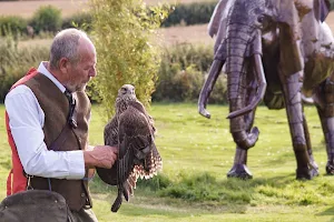 Forge Falconry Experience Centre image