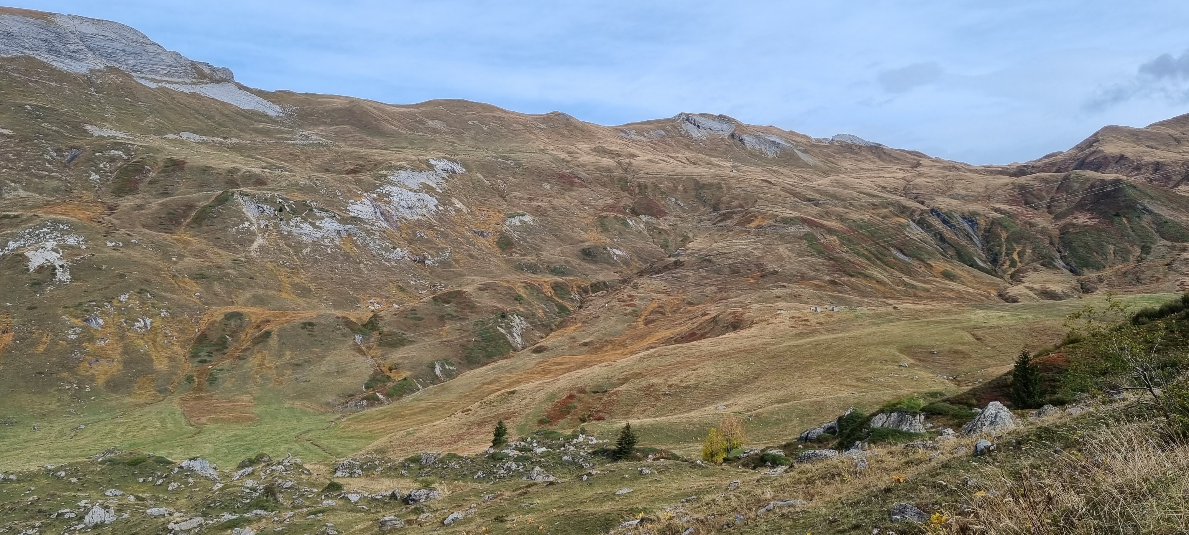 Photo n° 35 de l'avis de Raymond.a fait le 24/10/2023 à 19:44
