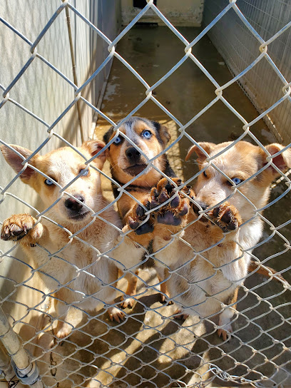 SPCA Haven-Of Solano County