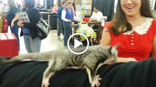 Insurance Agency «Jennifer McAdams - State Farm Insurance Agent», reviews and photos