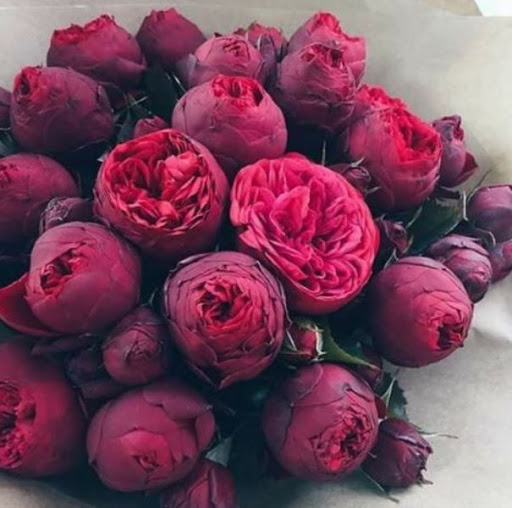 Florist «Andover Floral», reviews and photos, 13652 Crosstown Blvd NW, Andover, MN 55304, USA