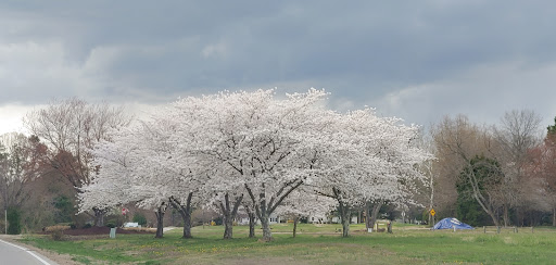 Golf Club «Breton Bay Golf & Country Club», reviews and photos, 21935 Society Hill Rd, Leonardtown, MD 20650, USA