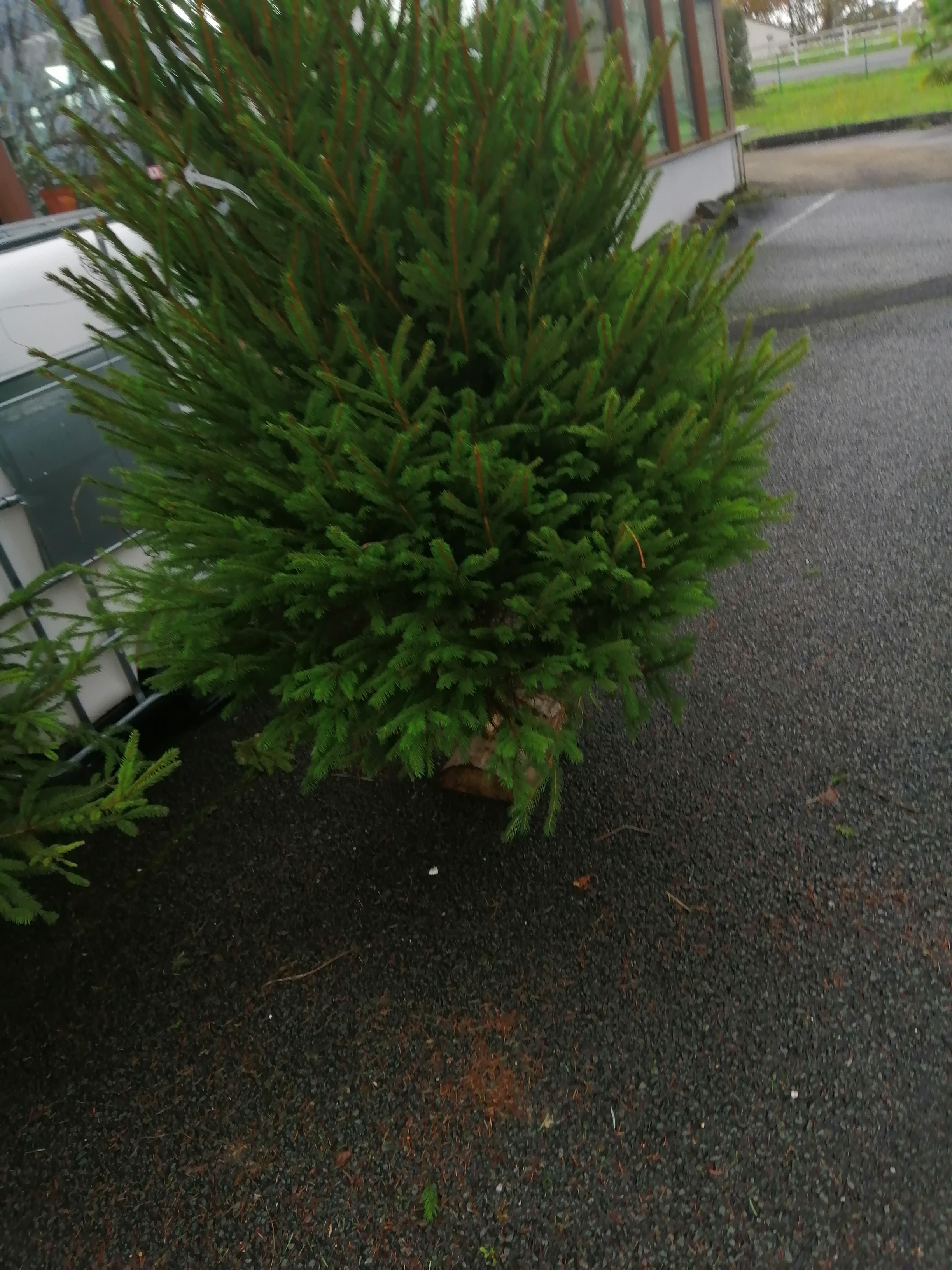 Photo n° 4 de l'avis de sarah.r fait le 01/12/2019 à 07:13