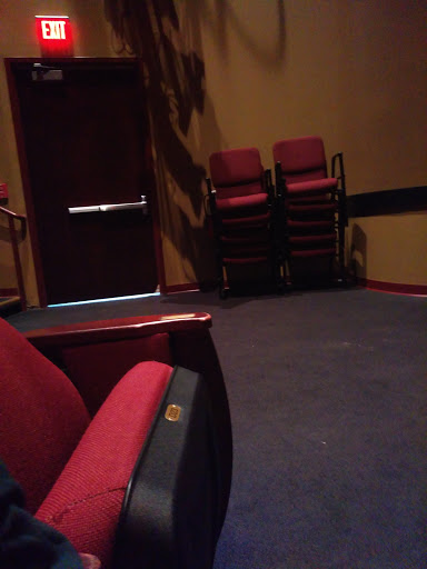 Performing Arts Theater «Manatee Performing Arts Center», reviews and photos, 502 3rd Ave W, Bradenton, FL 34205, USA