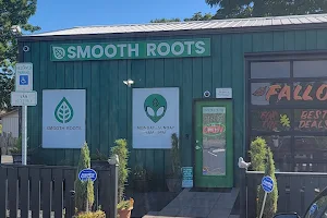 Smooth Roots image