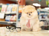 Petland Overland Park - Photo 7 - Car repair in Overland Park, KS, Overland Park