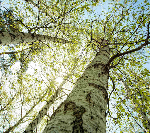 Park «Deerhaven Park», reviews and photos, 2812 Co Rd 2321, Panama City, FL 32409, USA