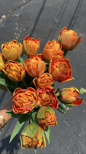 Florist «Design Works Flowers», reviews and photos, 624 N Main St, Rochester, MI 48307, USA