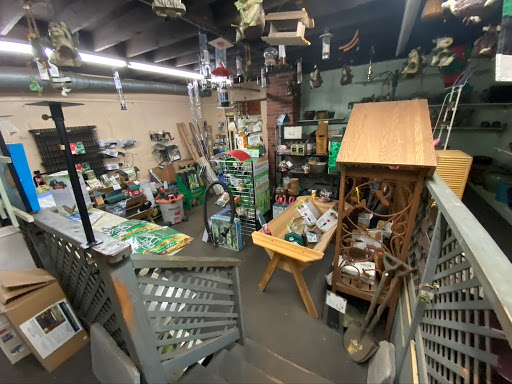 Florist «Butler Florist & Garden Center», reviews and photos, 416 Park Rd, West Hartford, CT 06119, USA