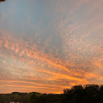 Photo n°2 de l'avis de Malika.� fait le 18/10/2023 à 08:36 sur le  Hotel Darstein à Altrip