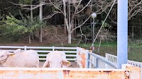 みねおかいきいき館