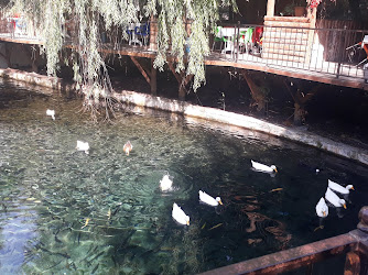 Pinarbaşi Balik Evi