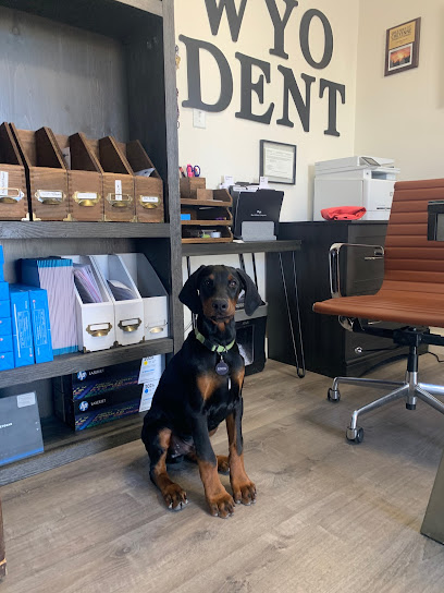 AF1QipM2ibB7XO2tnusc-_C7DKmAoXz6XDytYSxX0EBK=w408-h544-k-no