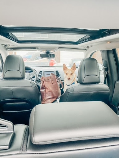 Dodge Dealer «Young Chrysler Jeep Dodge Ram», reviews and photos, 536 North 550 East, Morgan, UT 84050, USA