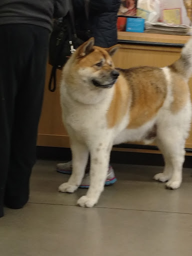 Pet Supply Store «Petco Animal Supplies», reviews and photos, 205 SE 5th St, Ames, IA 50010, USA