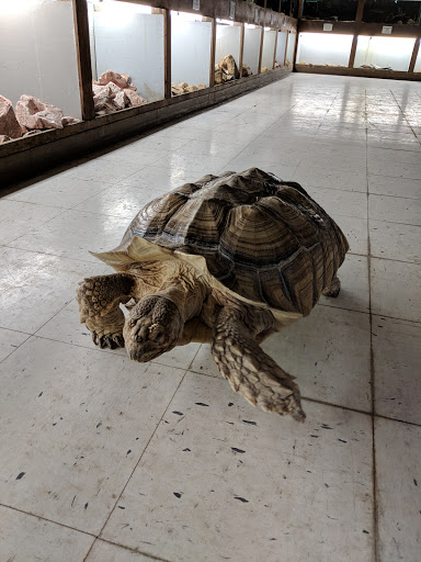 Pet Store «Pet World Warehouse Outlet», reviews and photos, 2148 W Beltline Hwy, Madison, WI 53713, USA