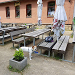 Photo n°2 de l'avis de Monika.. fait le 01/06/2019 à 19:40 sur le  Waldgasthaus Plessenburg à Ilsenburg