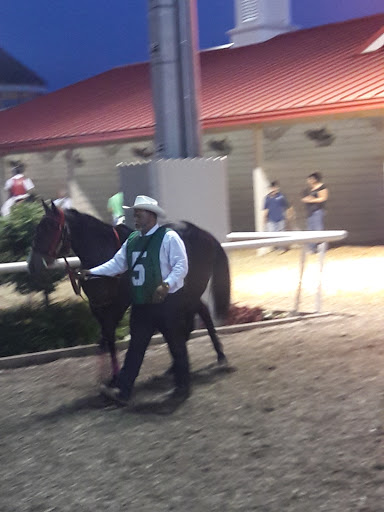 Casino «Indiana Grand Racing & Casino», reviews and photos, 4300 N Michigan Rd, Shelbyville, IN 46176, USA