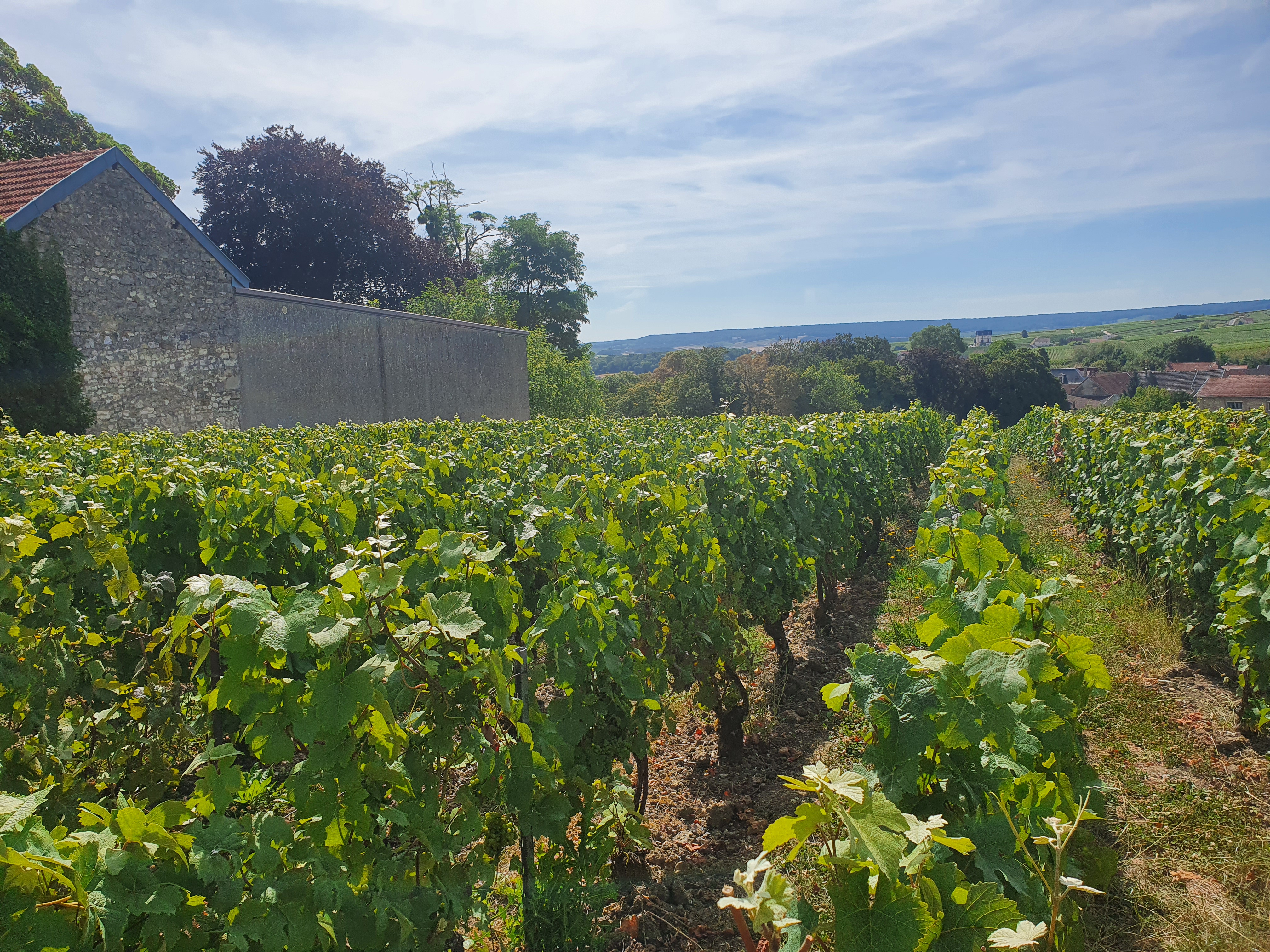Photo n° 1 de l'avis de Rémi.a fait le 19/07/2020 à 10:36