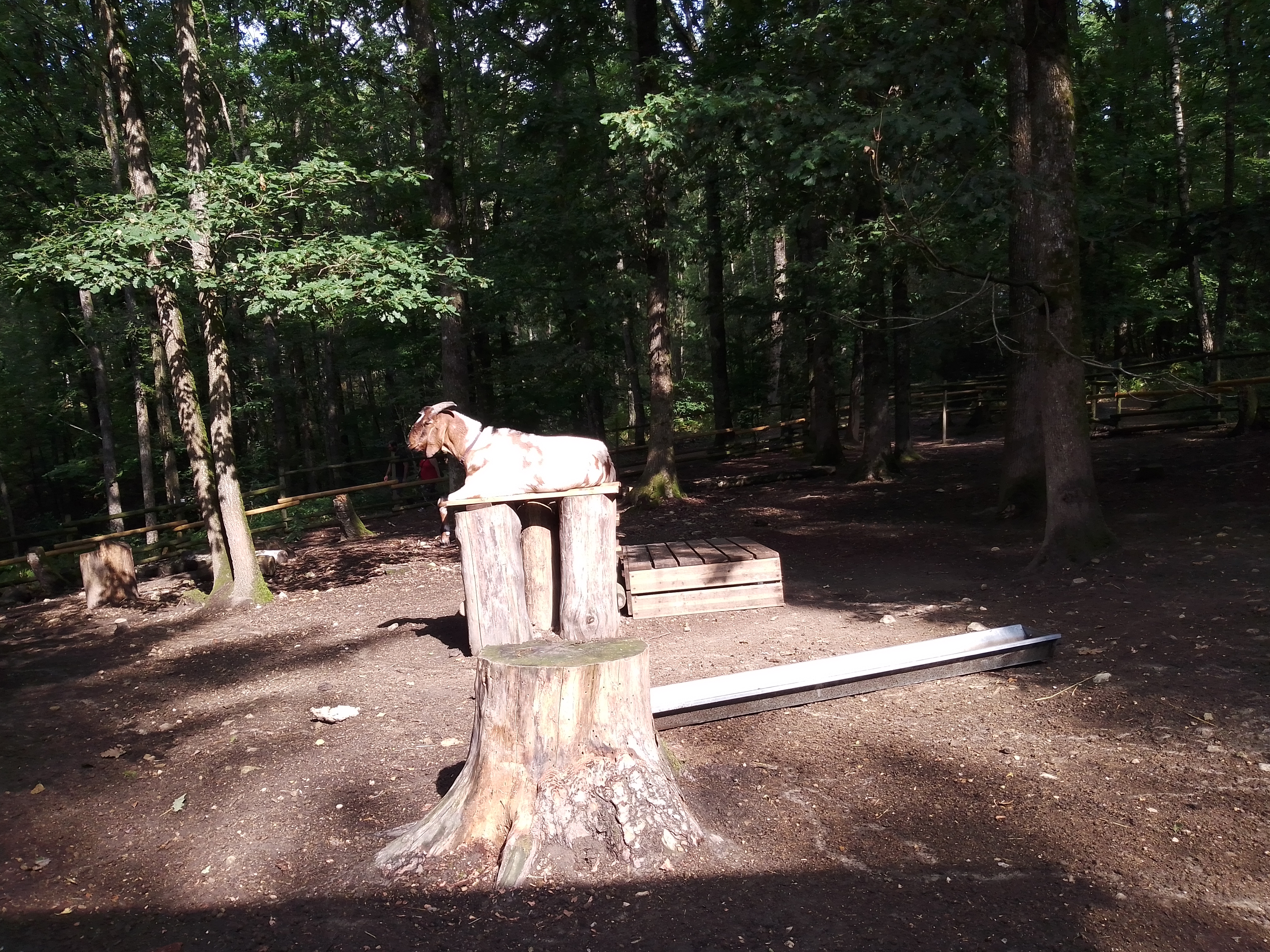 Photo n° 4 de l'avis de Prisc. fait le 17/08/2022 à 18:21