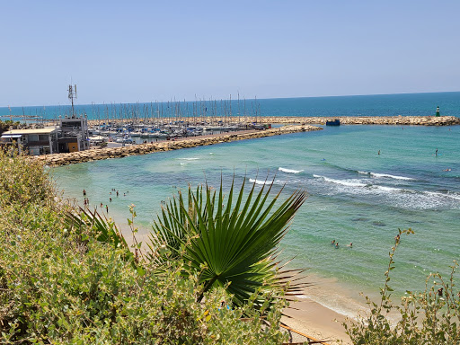 Marina of Tel Aviv