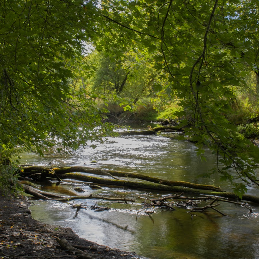 Sloan Preserve