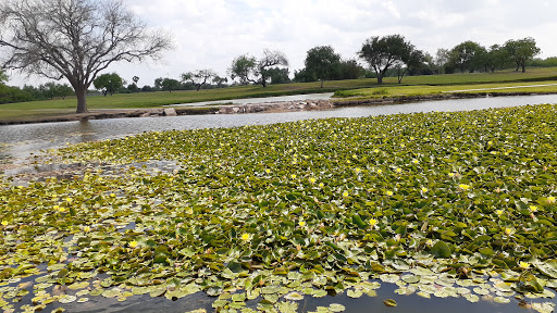 Golf Course «Harlingen Municipal Golf Course», reviews and photos, 2640 Golf Course Dr, Harlingen, TX 78550, USA