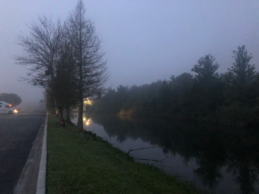 Pet Store «Phillips Feed & Pet Supplies», reviews and photos, 4350 Amberjack Blvd, Plant City, FL 33566, USA